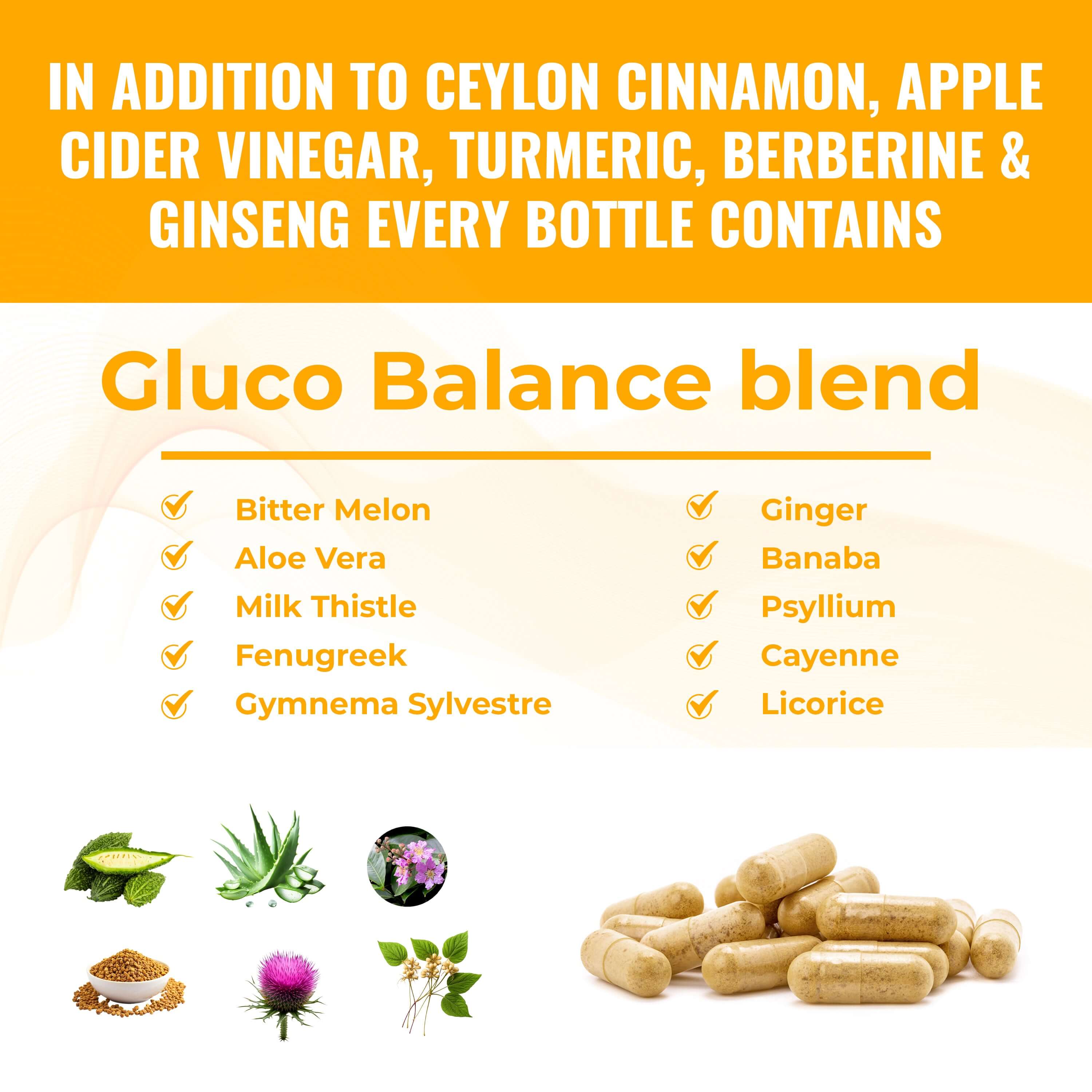 Ceylon Cinnamon Apple Cider Vinegar Turmeric Curcumin, Berberine & Ginseng