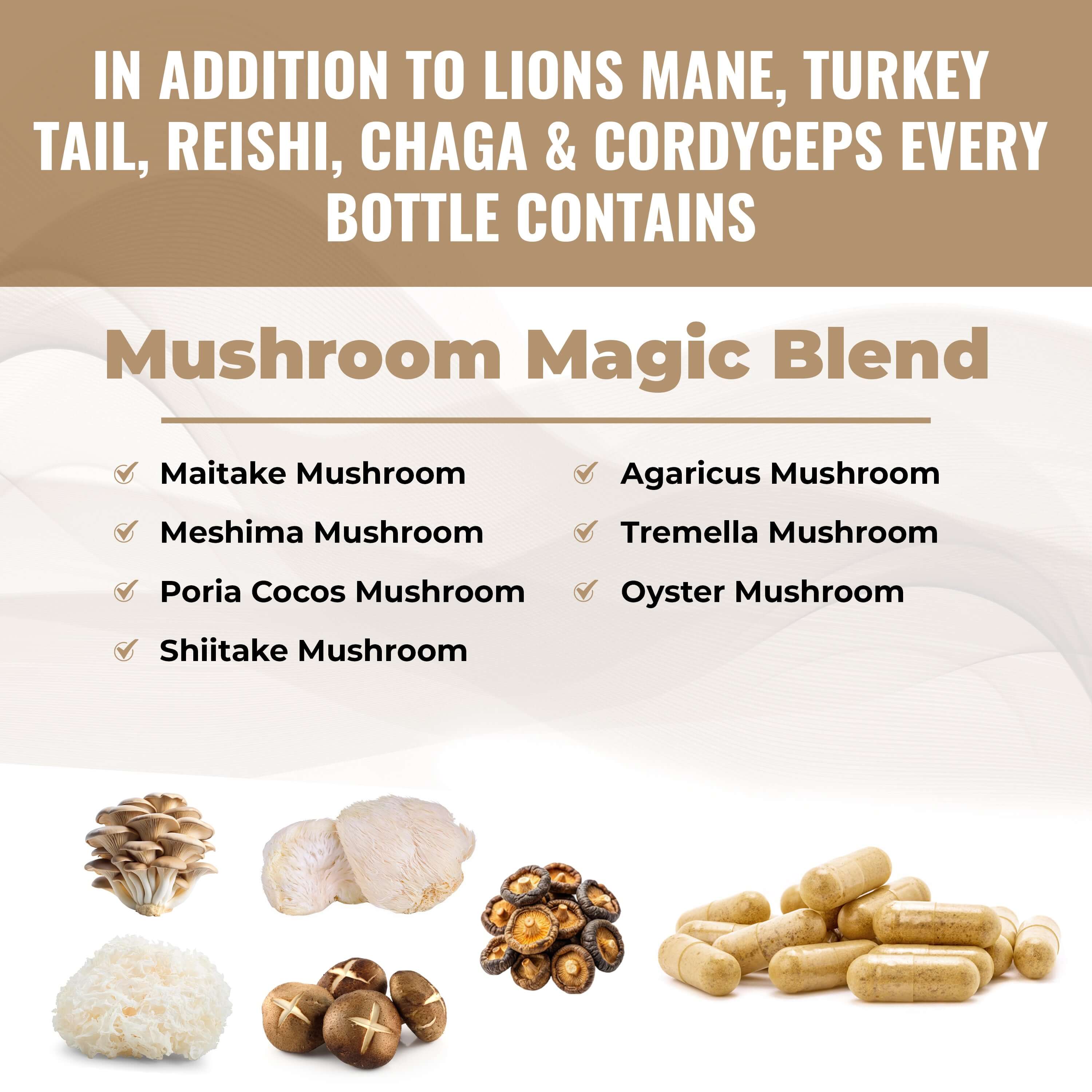 Mushroom Supplement Lion’s Mane Supplement Capsules with Cordyceps