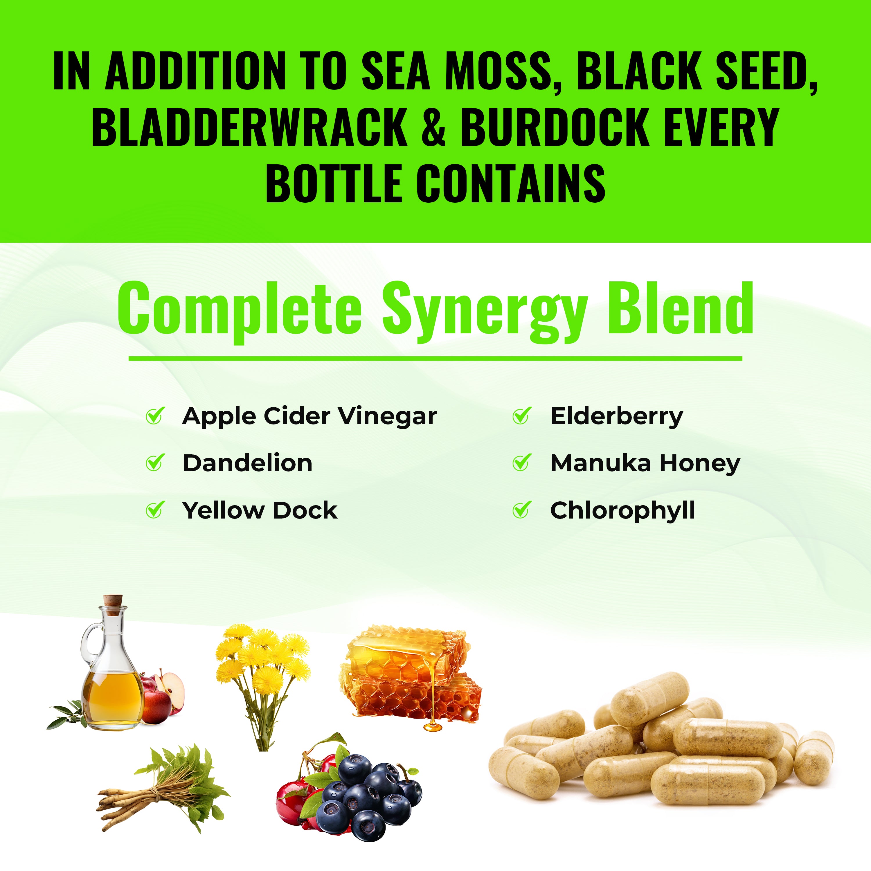 Sea Moss Supplement Blend with Black Seed Oil For Hair & Skin Health